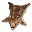 Bear Fur